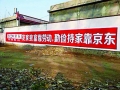 电商的农村争夺战：田间地头墙上刷广告