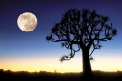 中秋快乐：为什么十五的月亮十六圆？
