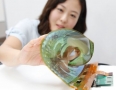 苹果“选秀”　柔性显示能否迎来新契机?