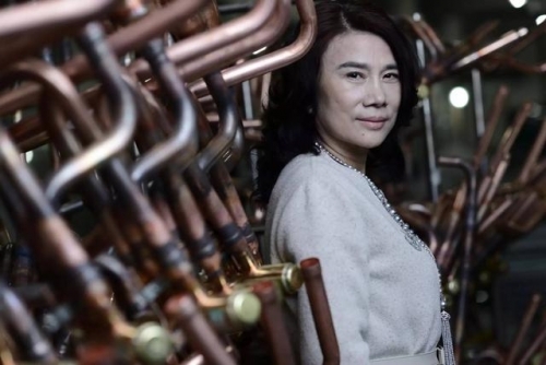 &ldquo;网红&rdquo;董明珠的名利场，难解格力生死局