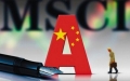 A股纳入MSCI指数 从四支股票窥得家电消费潜能