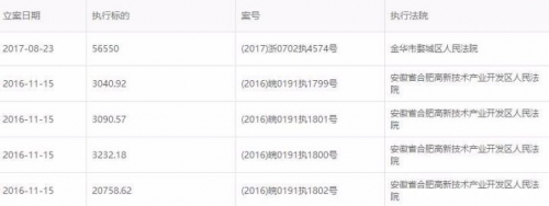 ▲ 被执行标的，数据来源：天眼查