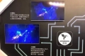 AI与彩电“芯”结合 创维发布偶像级智能电视