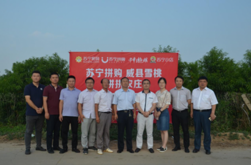双十一，苏宁易购双线领跑下沉市场