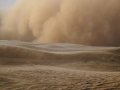 沙尘天气袭来 空气净化器又行了？