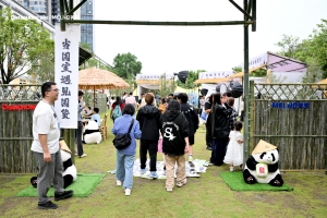 618叠加端午六一，四川长虹这场熊猫主题快闪超萌出圈