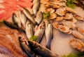 高端食材需要超低温保鲜，家电业为何缺失？
