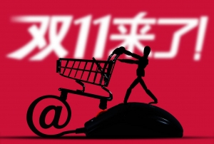 第四批国补资金下达，双11促销大战开打