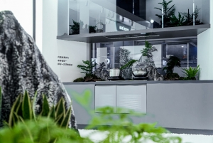 厨电龙头齐聚隐嵌厨电新赛道，华帝深耕功能美学，破解用户痛点