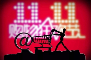 双11遭遇“结构性冷清” 家电市场迎来“去补贴”大考