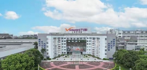 在存量周期中夯实确定性：万和的2025年回顾