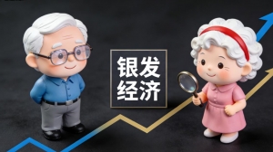 养老机器人谁来买单？